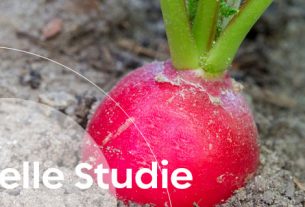 Image Aktuelle Studie