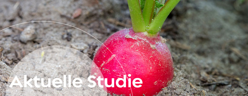 Image Aktuelle Studie